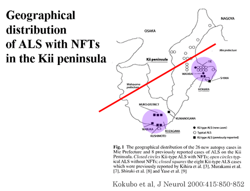 Graphical distribution of ALS with NFTs in the Kii peninsula